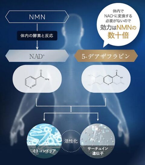 NMN 5デアザフラビン TND1128 比較