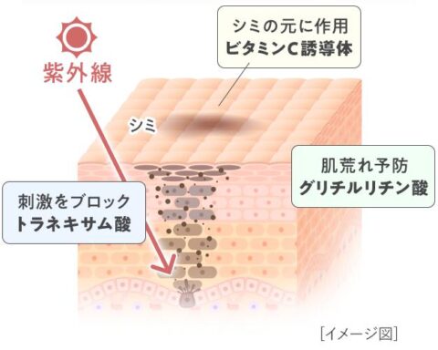シミ 美白