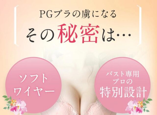 PGブラ 特徴